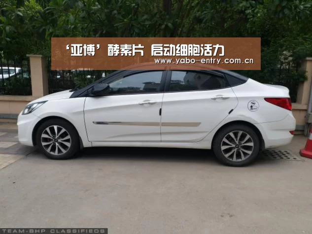 亚博体育官网