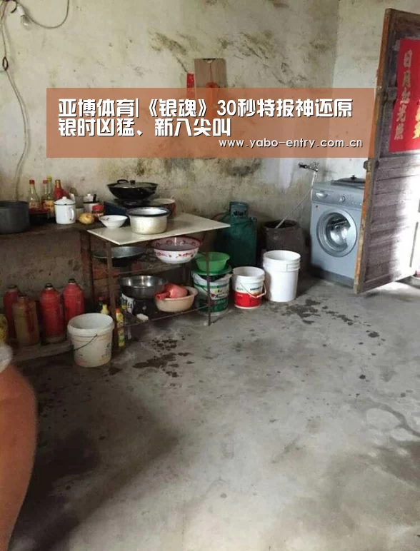 亚博体育|《银魂》30秒特报神还原 银时凶猛、新八尖叫(图1) 亚博体育官网